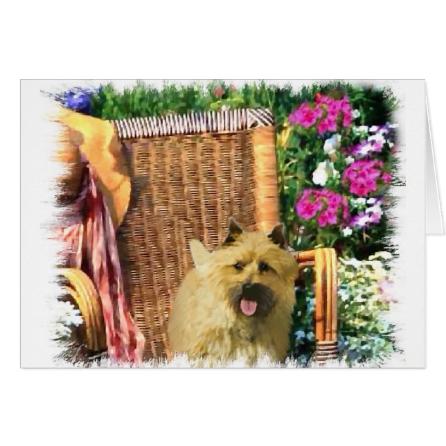Cairn Terrier Kunstgeschenke (Vorderseite (Horizontal))