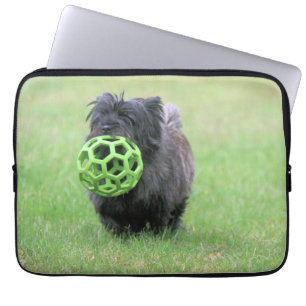 Cairn Terrier Laptopschutzhülle