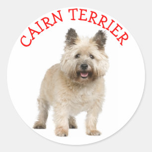 Cairn Terrier Liebe Welpenhund Aufkleber