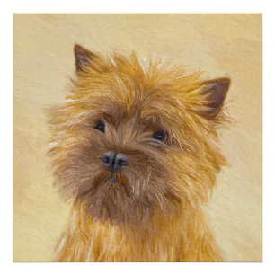 Cairn Terrier Malerei - Süße originelle Hundekunst Poster