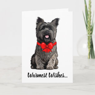 Cairn Terrier mit einer Weihnachtsbusskarte Karte
