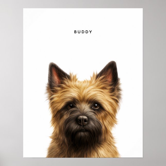 Cairn Terrier Personalisiert Print Poster (Vorne)