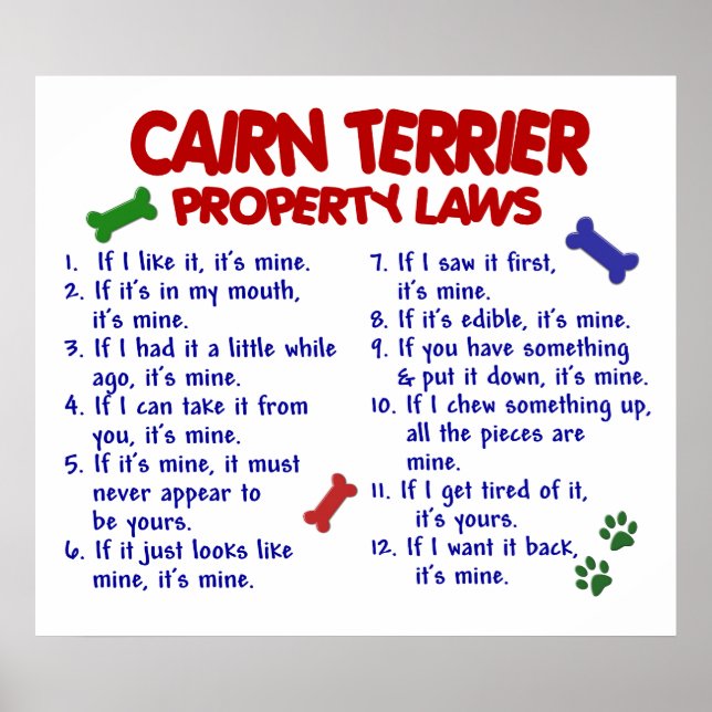 CAIRN TERRIER PL2 POSTER (Vorne)
