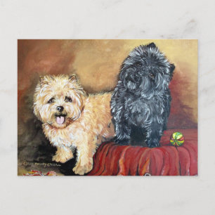 Cairn Terrier Portrait Postkarte