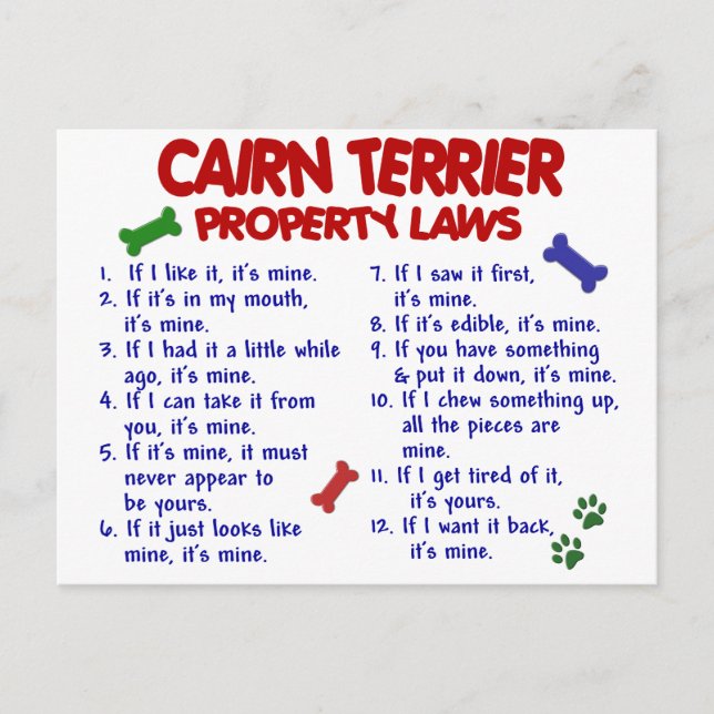 CAIRN TERRIER Property Laws 2 Postkarte (Vorderseite)