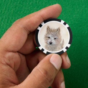 Cairn Terrier Puppy Painting - Original Dog Art Pokerchips