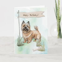 Cairn Terrier Rasse Hund unter Geburtstagszeichen