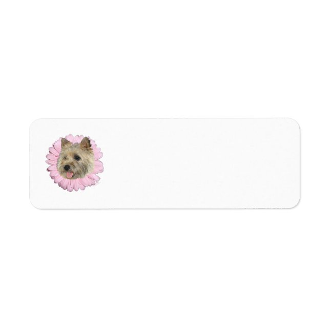Cairn Terrier Springtime Blume (Vorne)