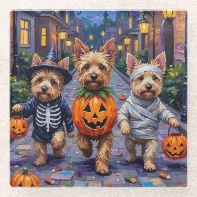 Cairn Terrier Trick-oder-Treating Halloween-Kostüm Glasuntersetzer (Vorderseite)