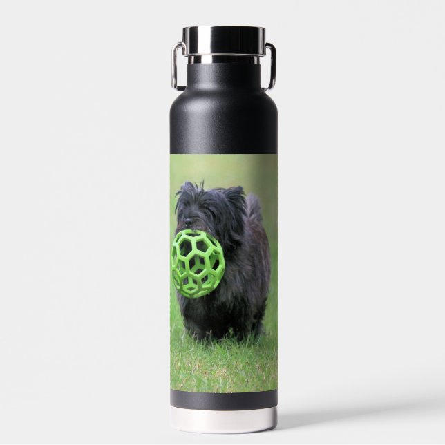 Cairn Terrier Trinkflasche (Vorne)
