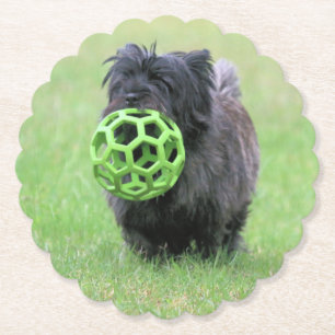 Cairn Terrier Untersetzer