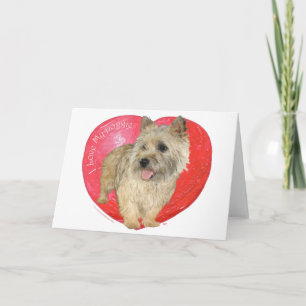 Cairn Terrier Valentinstag Feiertagskarte