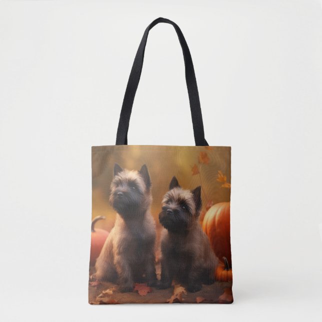 Cairn Terrier Welpe Herbst Kürbis (Vorderseite)