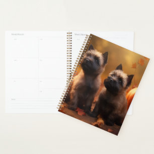 Cairn Terrier Welpe Herbst Kürbis Planer
