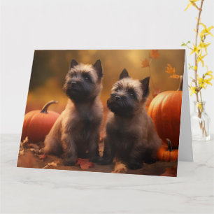 Cairn Terrier Welpe Herbstfreude Kürbis  Karte