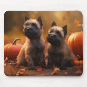 Cairn Terrier Welpe Herbstfreude Kürbis Mousepad