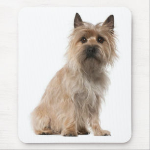 Cairn Terrier Welpe Hund Mousepad