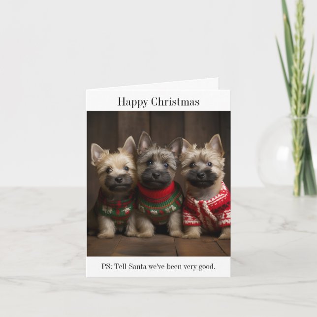 Cairn Terrier Welppies Weihnachtskarte Karte (Vorderseite)