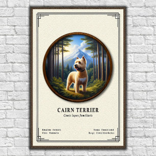 Cairn Terrier Zoologie-Serie Poster