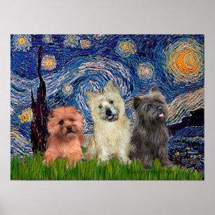 Cairn Terriers (drei) - Starry Night Poster