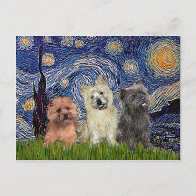 Cairn Terriers (drei) - Starry Night Postkarte (Vorderseite)