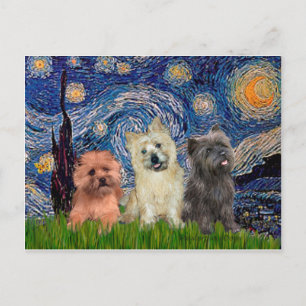 Cairn Terriers (drei) - Sternennacht Postkarte