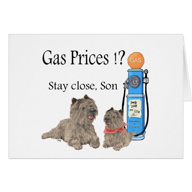 Cairn Terriers Gaspreise ?!! (Vorderseite (Horizontal))
