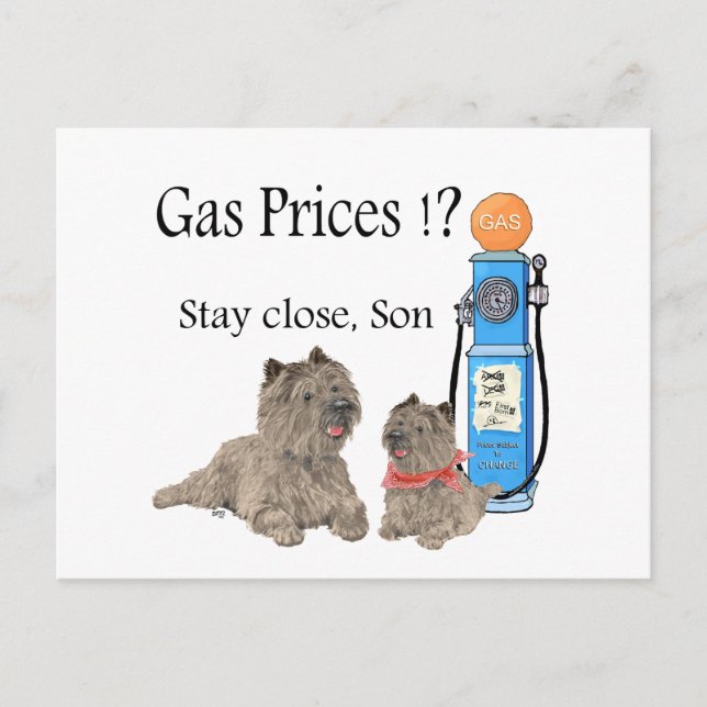 Cairn Terriers Gaspreise ?!! Postkarte (Vorderseite)