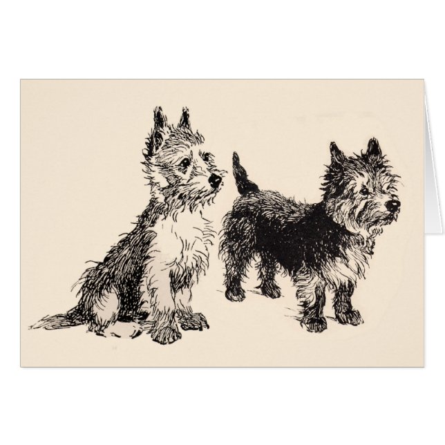 Cairn Terriers Vintag Pen & Ink (Vorderseite (Horizontal))
