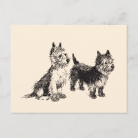 Cairn Terriers Vintag Pen & Ink