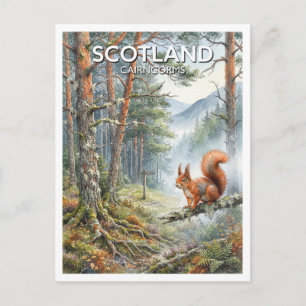 Cairngorms Nationalpark Aviemore Schottland Gesche Postkarte
