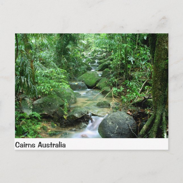 Cairns Forest Creek Queensland Australia Post Card Postkarte (Vorderseite)