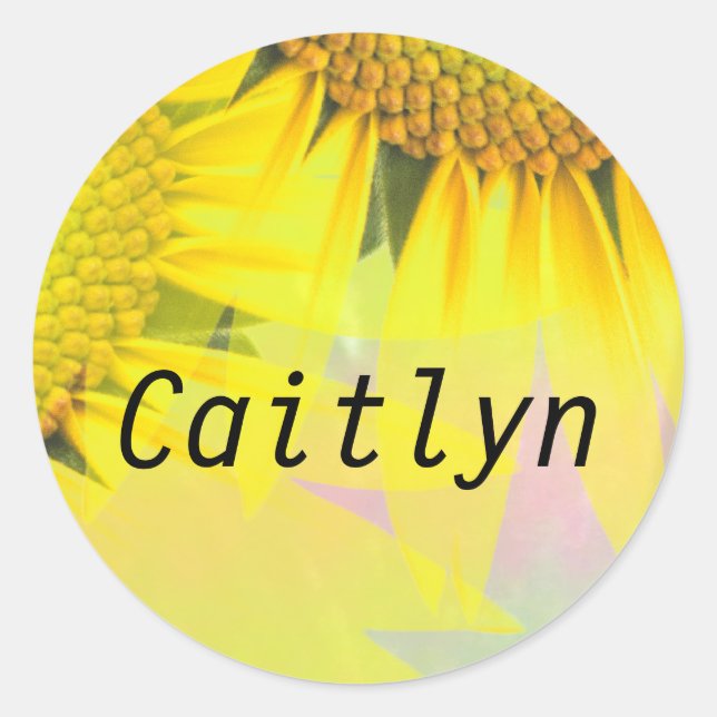 Caitlyn Regenbogen Sonnenblumen Namensaufkleber Runder Aufkleber (Vorderseite)