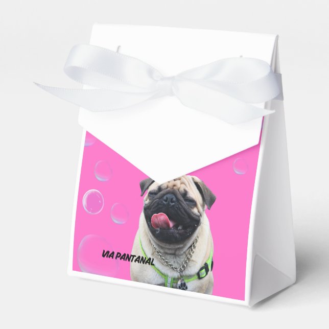 CAIXINHA PRESENTE PET ROSA GESCHENKSCHACHTEL (Vorderseite)