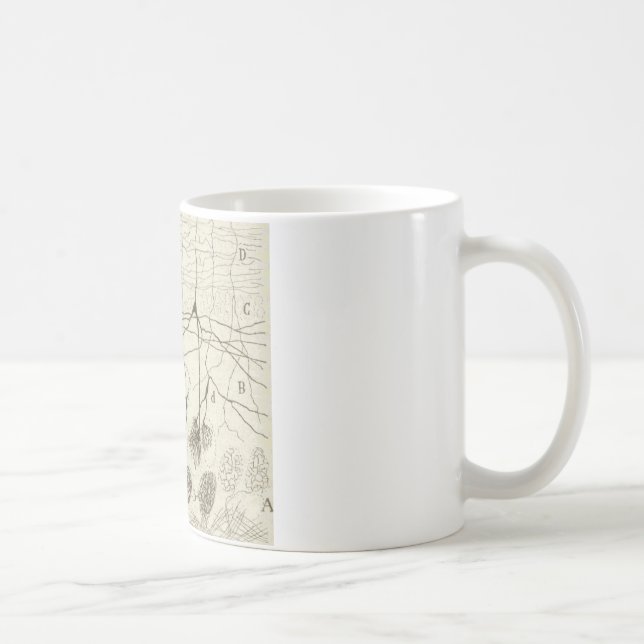 Cajals Neuronen 8 Kaffeetasse (Rechts)