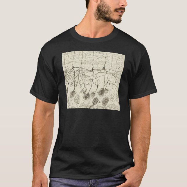 Cajals Neuronen 8 T-Shirt (Vorderseite)