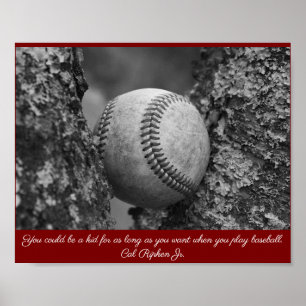 Cal Ripken Baseball Poster