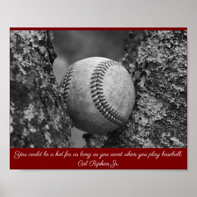 Cal Ripken Baseball Poster (Vorne)