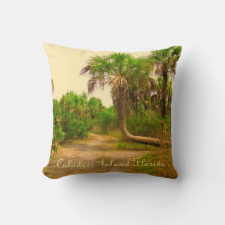 Caladesi Island Dunedin Fl Pillow Kissen