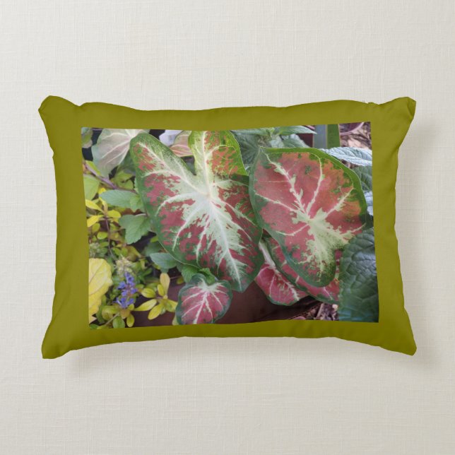 Caladium-Garten  Dekokissen (Vorderseite)