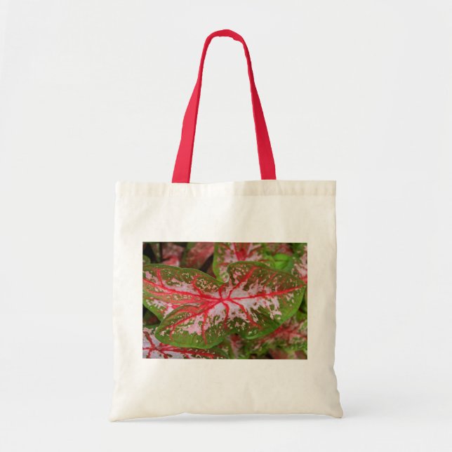Caladium-Tasche Tragetasche (Vorne)