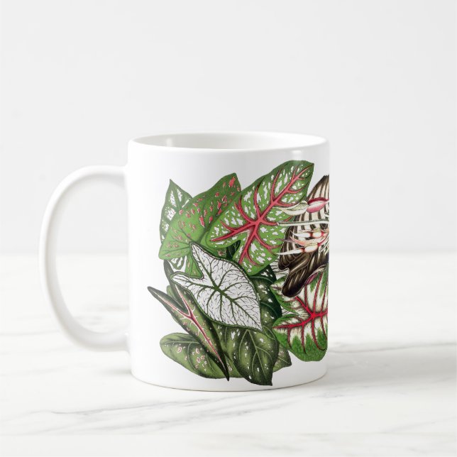Caladium verlässt Tasse (Links)