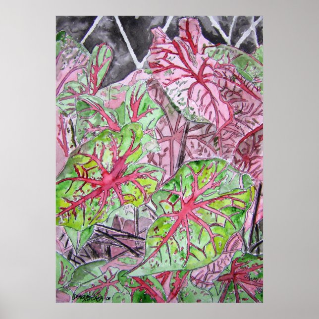 caladiums_Pflanze_painting Poster (Vorne)
