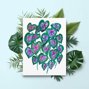Caladiums Pink & Green Blätter Wasserfarben Kunst, Postkarte