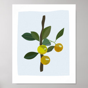Calamonsi Golden Limon Citrus Illustration Poster