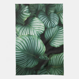 Calathea-Blätter, tropische Pflanze gestreift Geschirrtuch