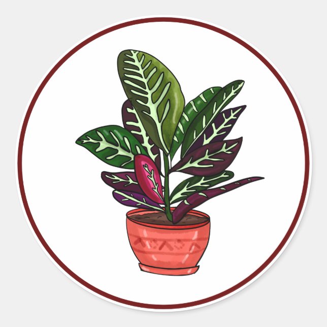 Calathea Hand Drawn Houseplant Kunst Runder Aufkleber (Vorderseite)