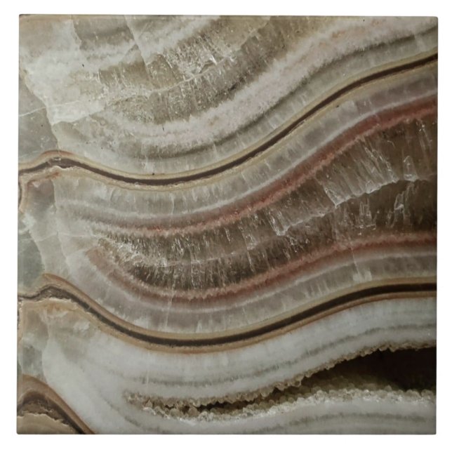 Calciumammonit Fliese (Vorderseite)