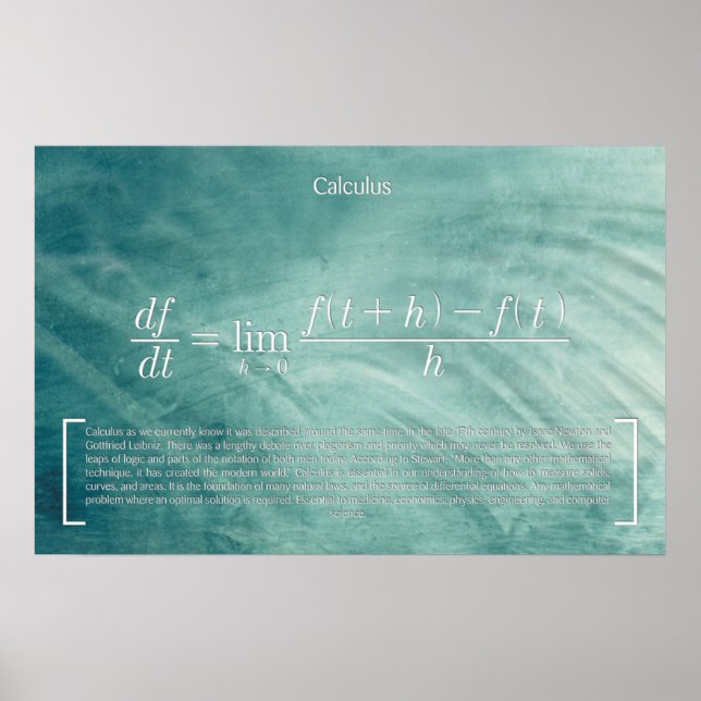 Calculus - Math Poster (Vorne)