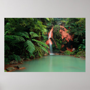 Caldeira Velha Park, Azoren Poster